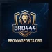 Bro444 Game