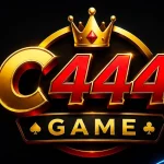 C444 Game