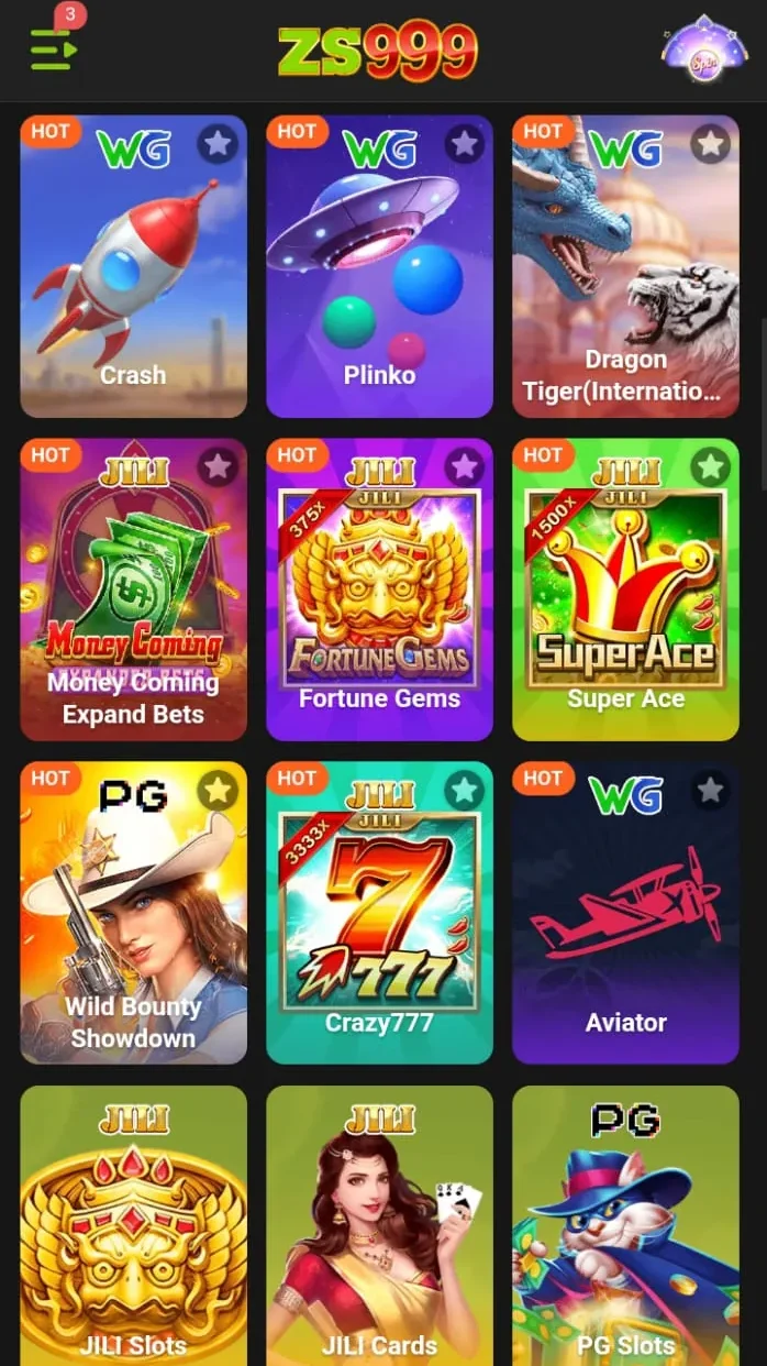 ZS999 Game