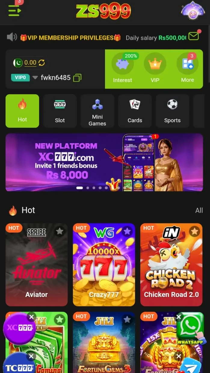 ZS999 Game